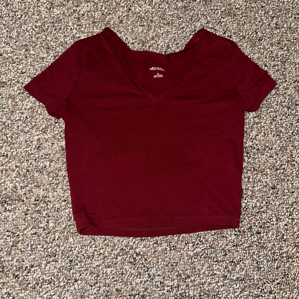 Wild fable cropped v neck